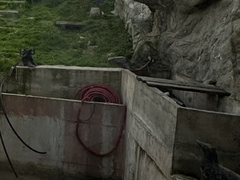 Mester finisaje interior-exterior, zona Unirii, Bucuresti